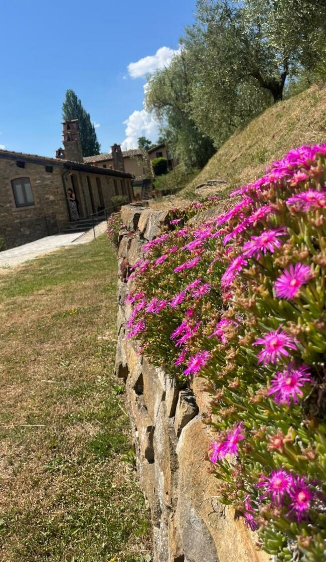 Istituto Italiano EMDR - Retreat Assisi-24
